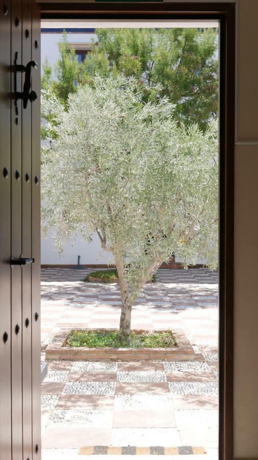 Casa de hóspedes La Perla Blanca - Ronda